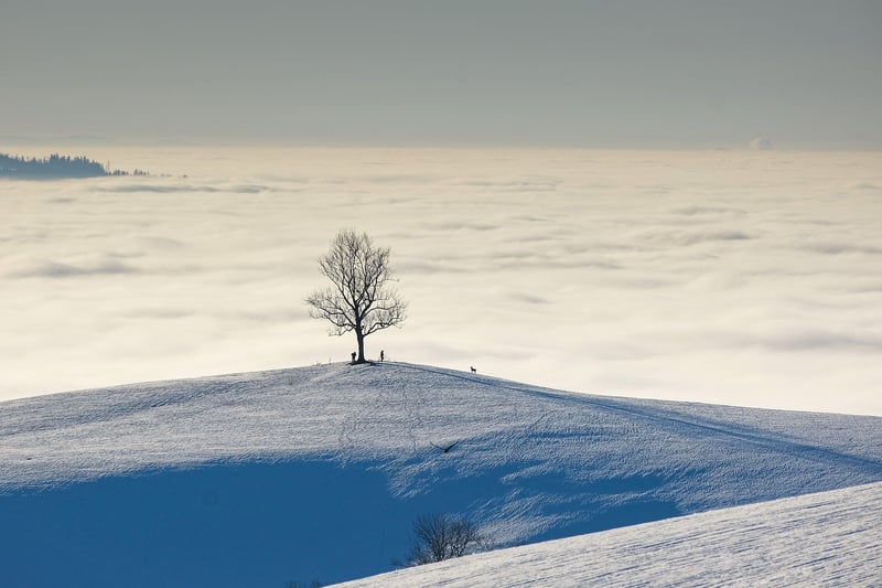 Photography Expedition Landscape